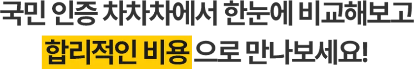 국민 인증 차차차에서 한눈에 비교