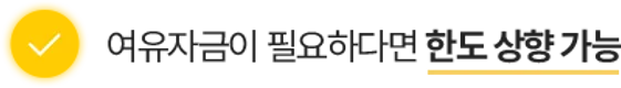 한도 상향 가능
